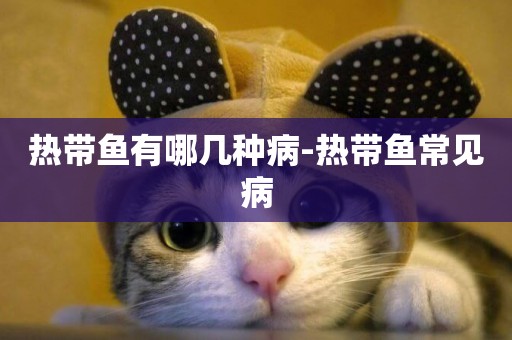 熱帶魚有哪幾種病-熱帶魚常見病