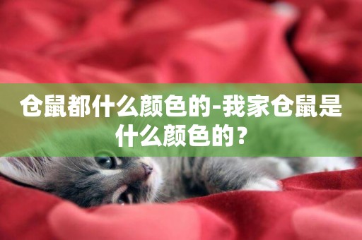 倉鼠都什么顏色的-我家倉鼠是什么顏色的？