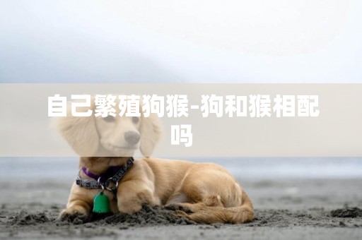 自己繁殖狗猴-狗和猴相配嗎