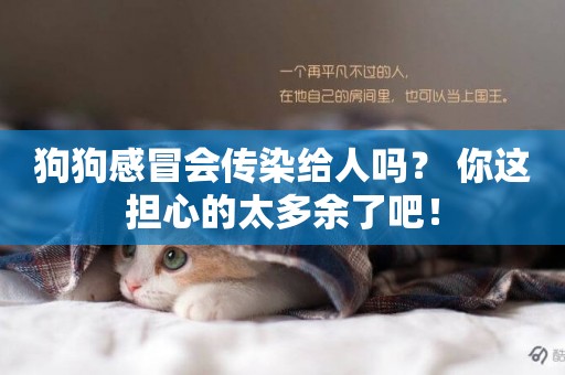 狗狗感冒會傳染給人嗎？ 你這擔心的太多余了吧！