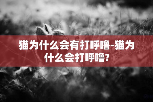 貓為什么會有打呼嚕-貓為什么會打呼嚕?