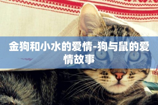金狗和小水的愛情-狗與鼠的愛情故事