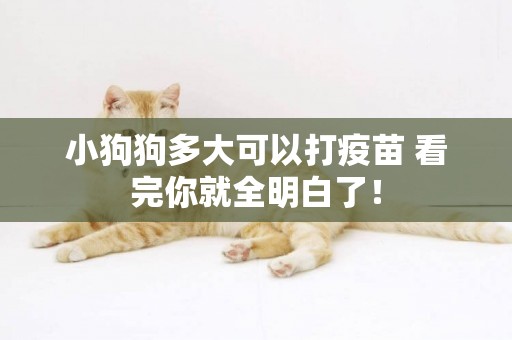 小狗狗多大可以打疫苗 看完你就全明白了！