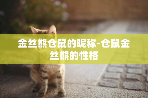 金絲熊倉鼠的昵稱-倉鼠金絲熊的性格