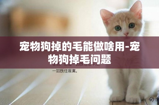 寵物狗掉的毛能做啥用-寵物狗掉毛問題