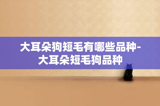 大耳朵狗短毛有哪些品種-大耳朵短毛狗品種