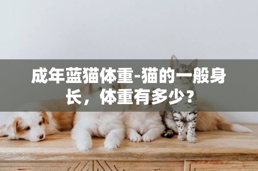 成年藍貓體重-貓的一般身長，體重有多少？