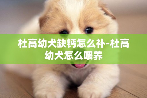 杜高幼犬缺鈣怎么補-杜高幼犬怎么喂養