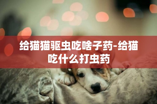 給貓貓驅蟲吃啥子藥-給貓吃什么打蟲藥