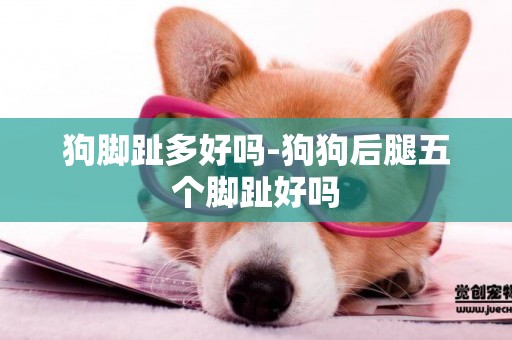 狗腳趾多好嗎-狗狗后腿五個腳趾好嗎