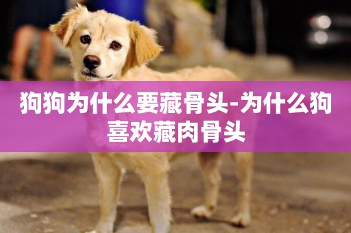 狗狗為什么要藏骨頭-為什么狗喜歡藏肉骨頭