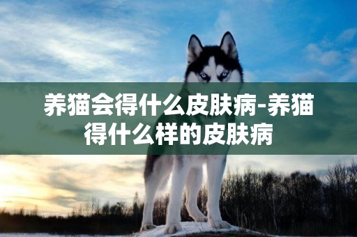 養貓會得什么皮膚病-養貓得什么樣的皮膚病