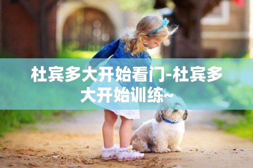 杜賓多大開始看門-杜賓多大開始訓練~