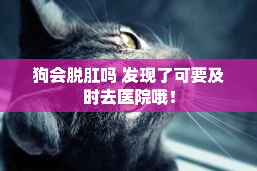 狗會脫肛嗎 發現了可要及時去醫院哦！