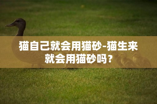 貓自己就會用貓砂-貓生來就會用貓砂嗎？
