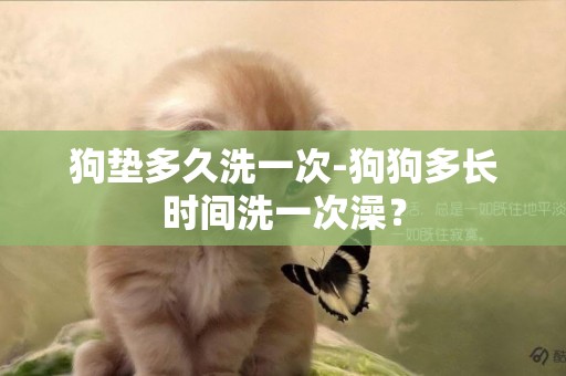 狗墊多久洗一次-狗狗多長時間洗一次澡？