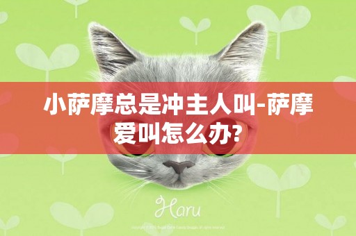 小薩摩總是沖主人叫-薩摩愛叫怎么辦?
