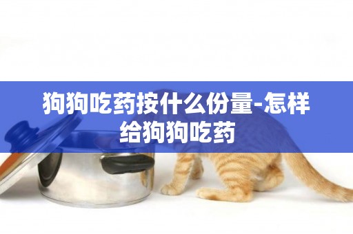 狗狗吃藥按什么份量-怎樣給狗狗吃藥