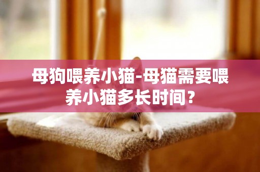 母狗喂養小貓-母貓需要喂養小貓多長時間？