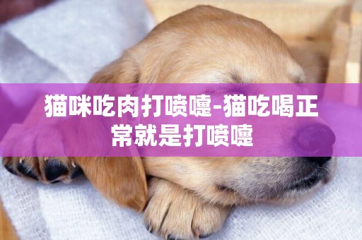 貓咪吃肉打噴嚏-貓吃喝正常就是打噴嚏