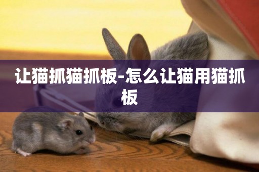讓貓抓貓抓板-怎么讓貓用貓抓板