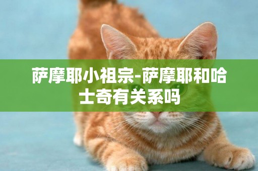 薩摩耶小祖宗-薩摩耶和哈士奇有關系嗎