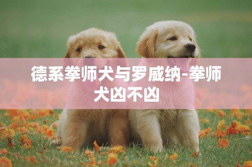 德系拳師犬與羅威納-拳師犬兇不兇