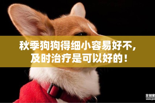 秋季狗狗得細小容易好不, 及時治療是可以好的！