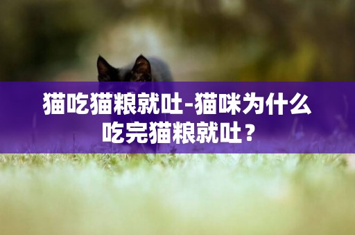 貓吃貓糧就吐-貓咪為什么吃完貓糧就吐？