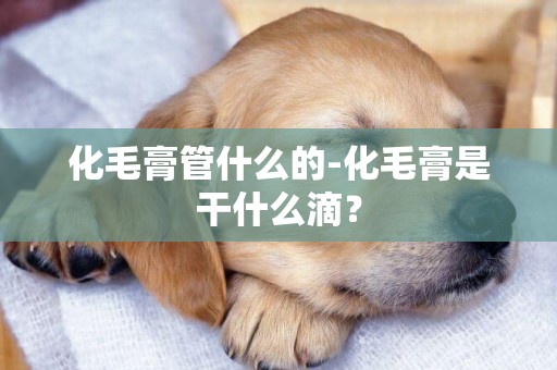 化毛膏管什么的-化毛膏是干什么滴？