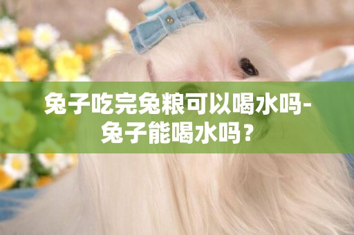 兔子吃完兔糧可以喝水嗎-兔子能喝水嗎？