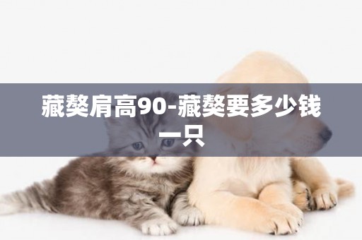 藏獒肩高90-藏獒要多少錢一只