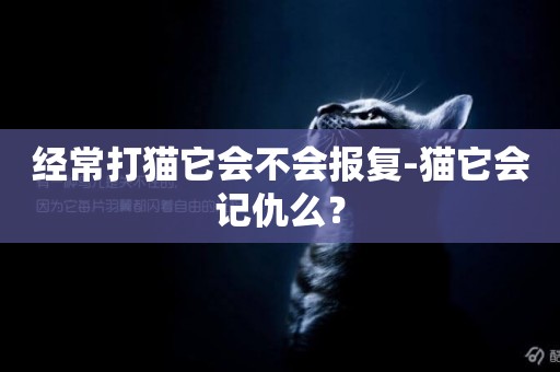 經常打貓它會不會報復-貓它會記仇么？