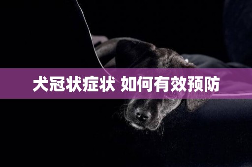犬冠狀癥狀 如何有效預防