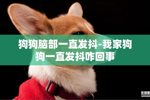 狗狗腦部一直發抖-我家狗狗一直發抖咋回事