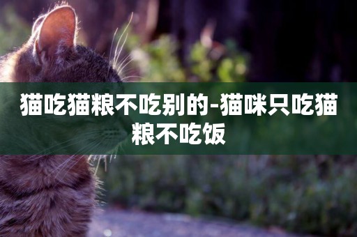 貓吃貓糧不吃別的-貓咪只吃貓糧不吃飯