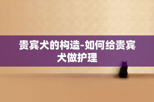 貴賓犬的構造-如何給貴賓犬做護理