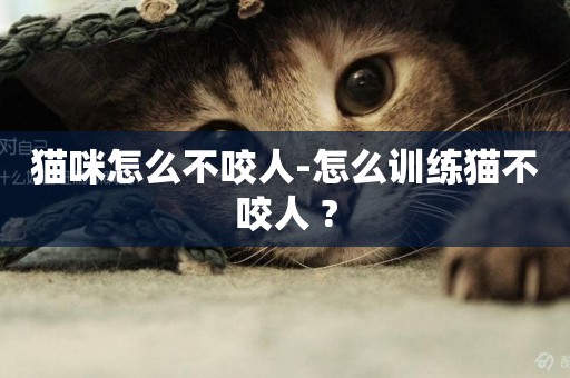貓咪怎么不咬人-怎么訓練貓不咬人 ?