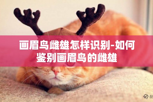 畫眉鳥雌雄怎樣識別-如何鑒別畫眉鳥的雌雄