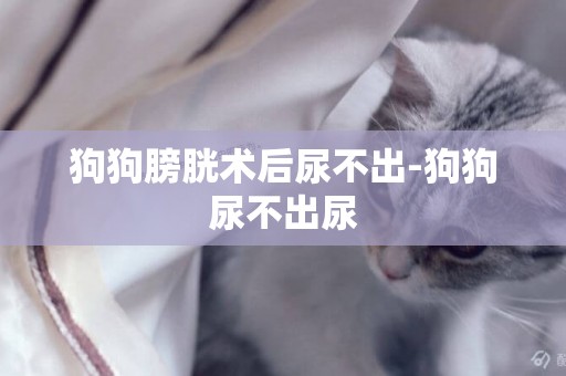 狗狗膀胱術后尿不出-狗狗尿不出尿