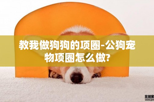 教我做狗狗的項圈-公狗寵物項圈怎么做?