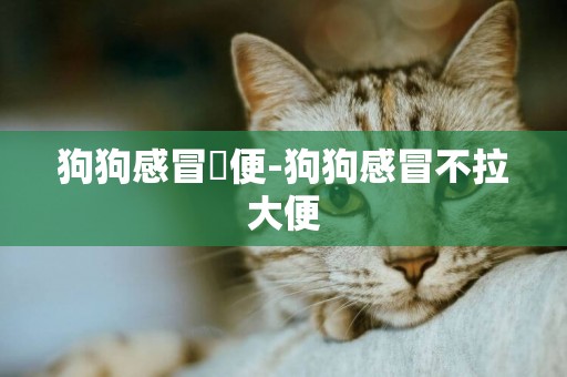 狗狗感冒約便-狗狗感冒不拉大便