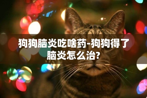 狗狗腦炎吃啥藥-狗狗得了腦炎怎么治?
