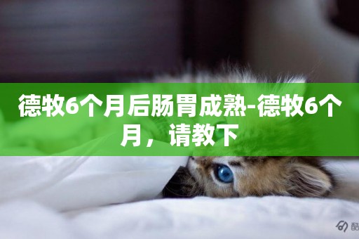 德牧6個月后腸胃成熟-德牧6個月，請教下