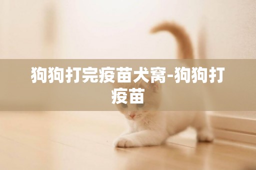 狗狗打完疫苗犬窩-狗狗打疫苗