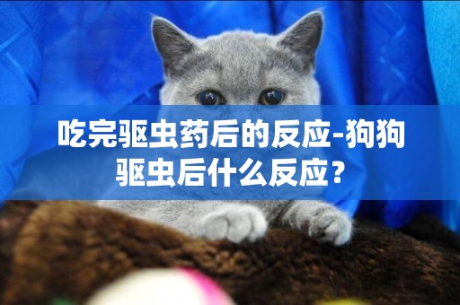 吃完驅蟲藥后的反應-狗狗驅蟲后什么反應？