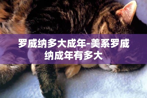 羅威納多大成年-美系羅威納成年有多大