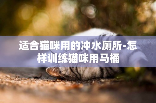 適合貓咪用的沖水廁所-怎樣訓練貓咪用馬桶
