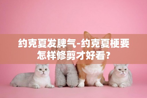 約克夏發脾氣-約克夏梗要怎樣修剪才好看？