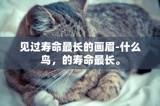見過壽命最長的畫眉-什么鳥，的壽命最長。